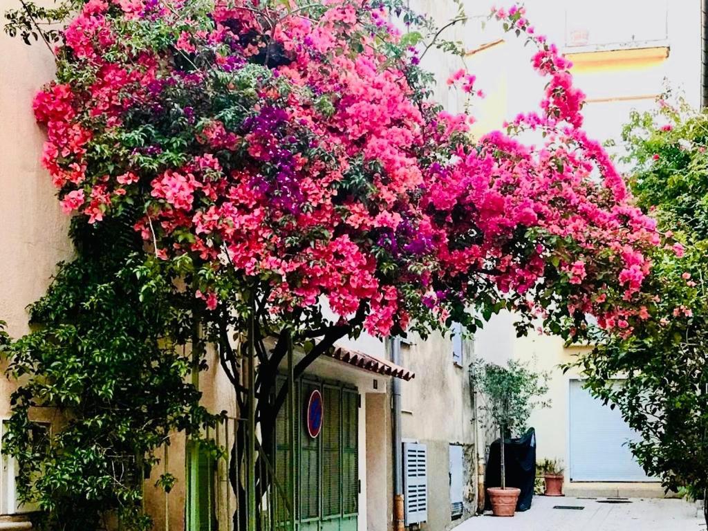 Le Caillou A La Ponche St Tropez Leilighet Saint-Tropez Eksteriør bilde